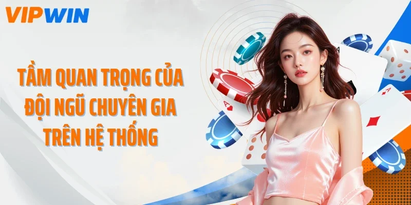 Tầm quan trọng của đội ngũ chuyên gia trên hệ thống